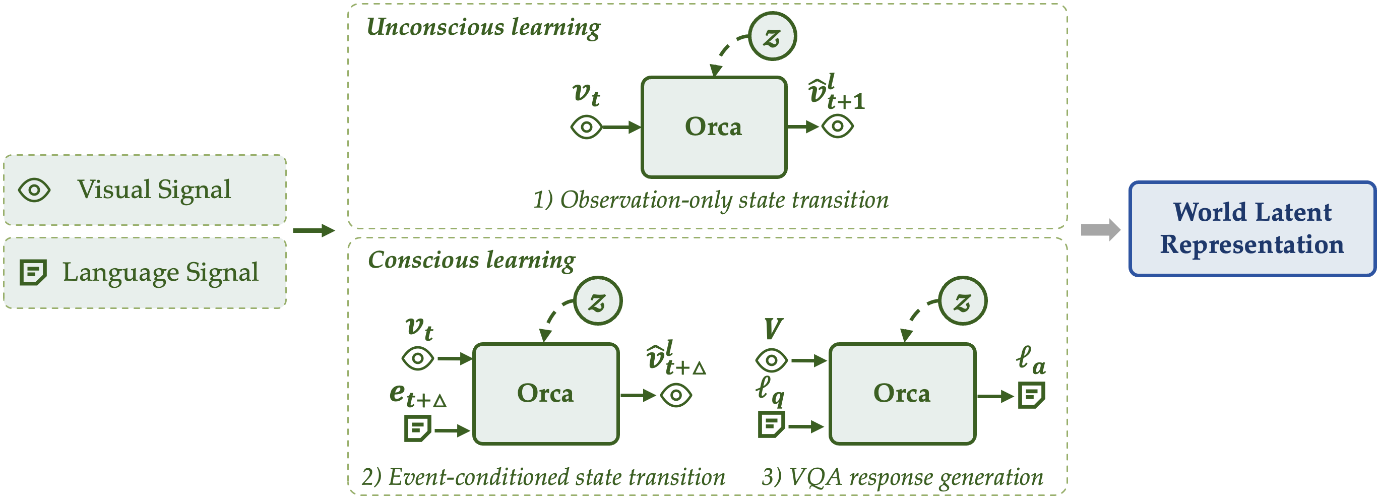 Overview of Orca encoder with unconscious learning and conscious learning paths.